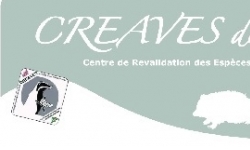 CREAVES_Logo.jpg